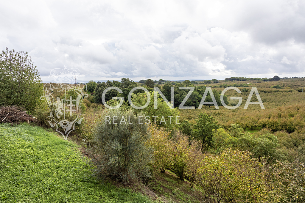 Carbognano07