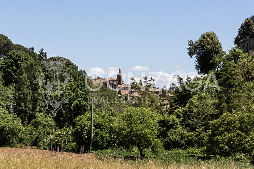 LCG_Capranica_01