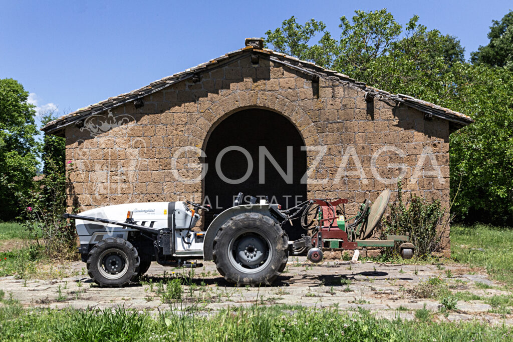 LCG_Capranica_06
