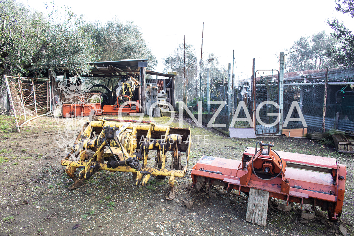 Terreno Gallese