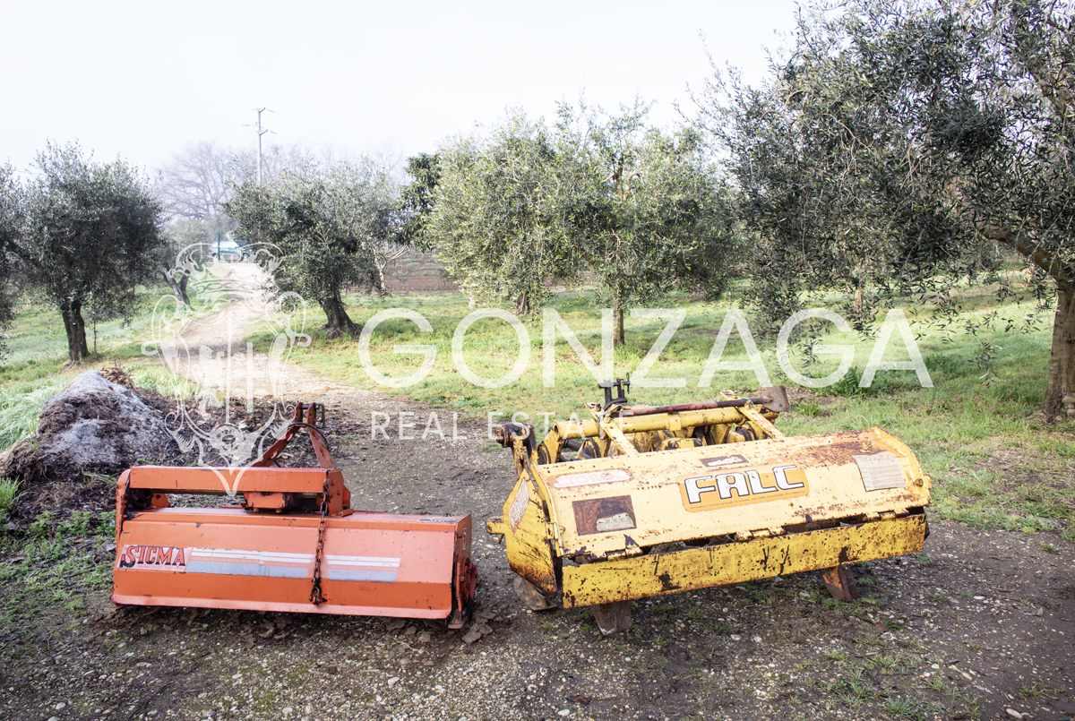 Terreno Gallese