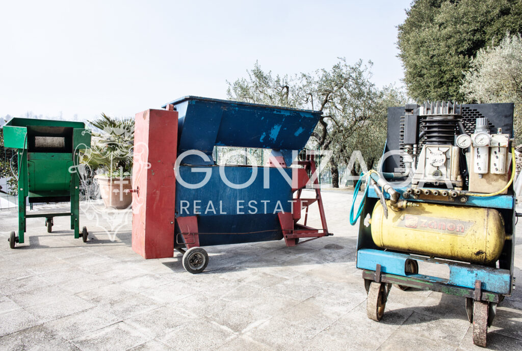 Gallese_terreno_bis_06