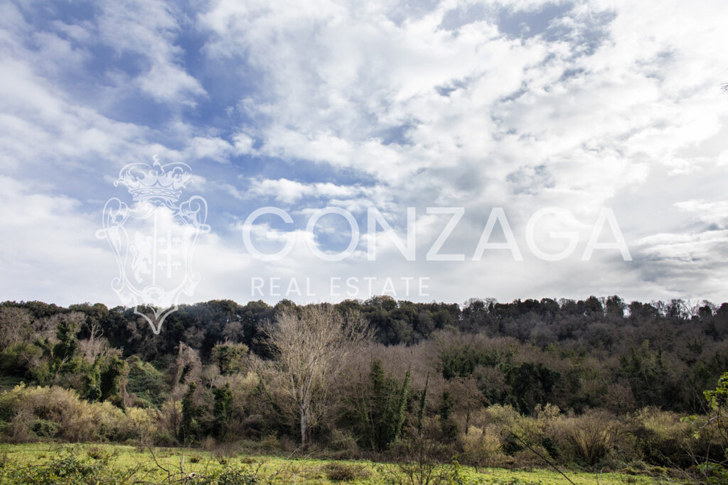 Susanna Casale_14 copia