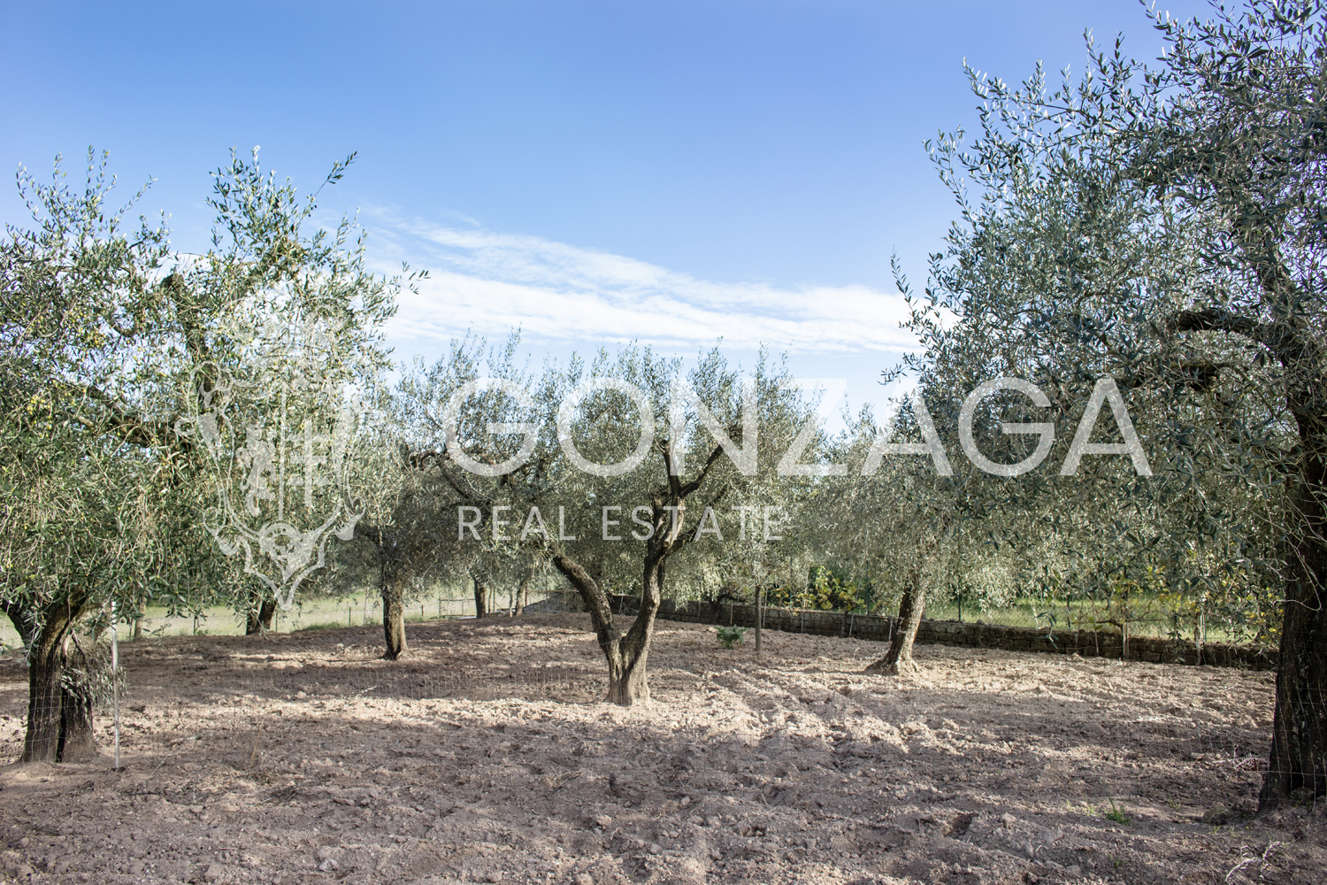 Casale Gallese