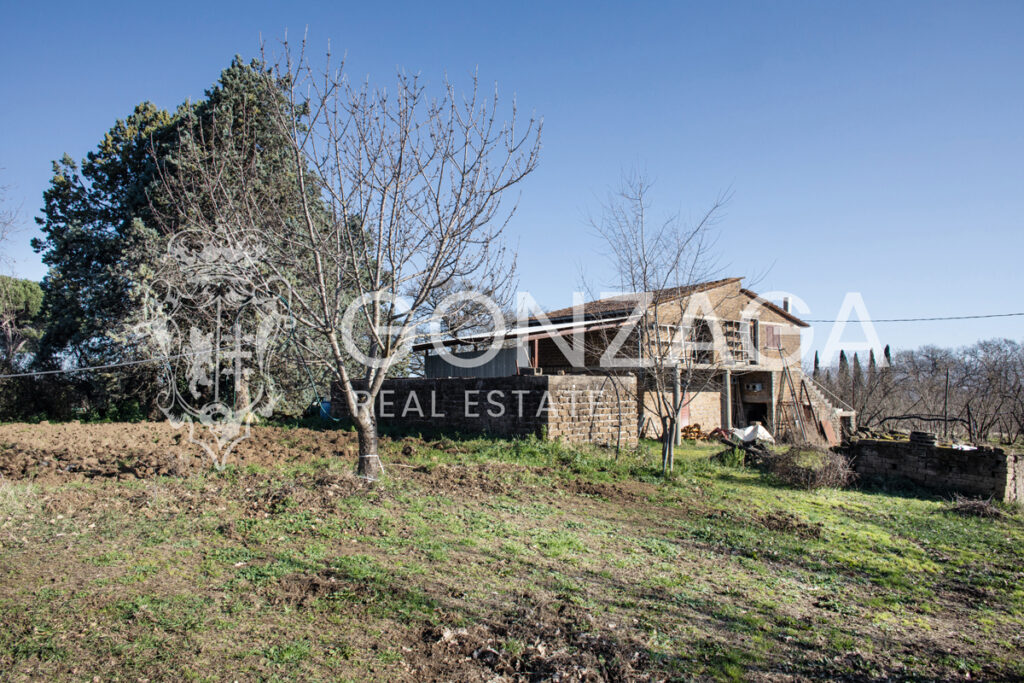 Gallese_Romeo_casale_terreno_02