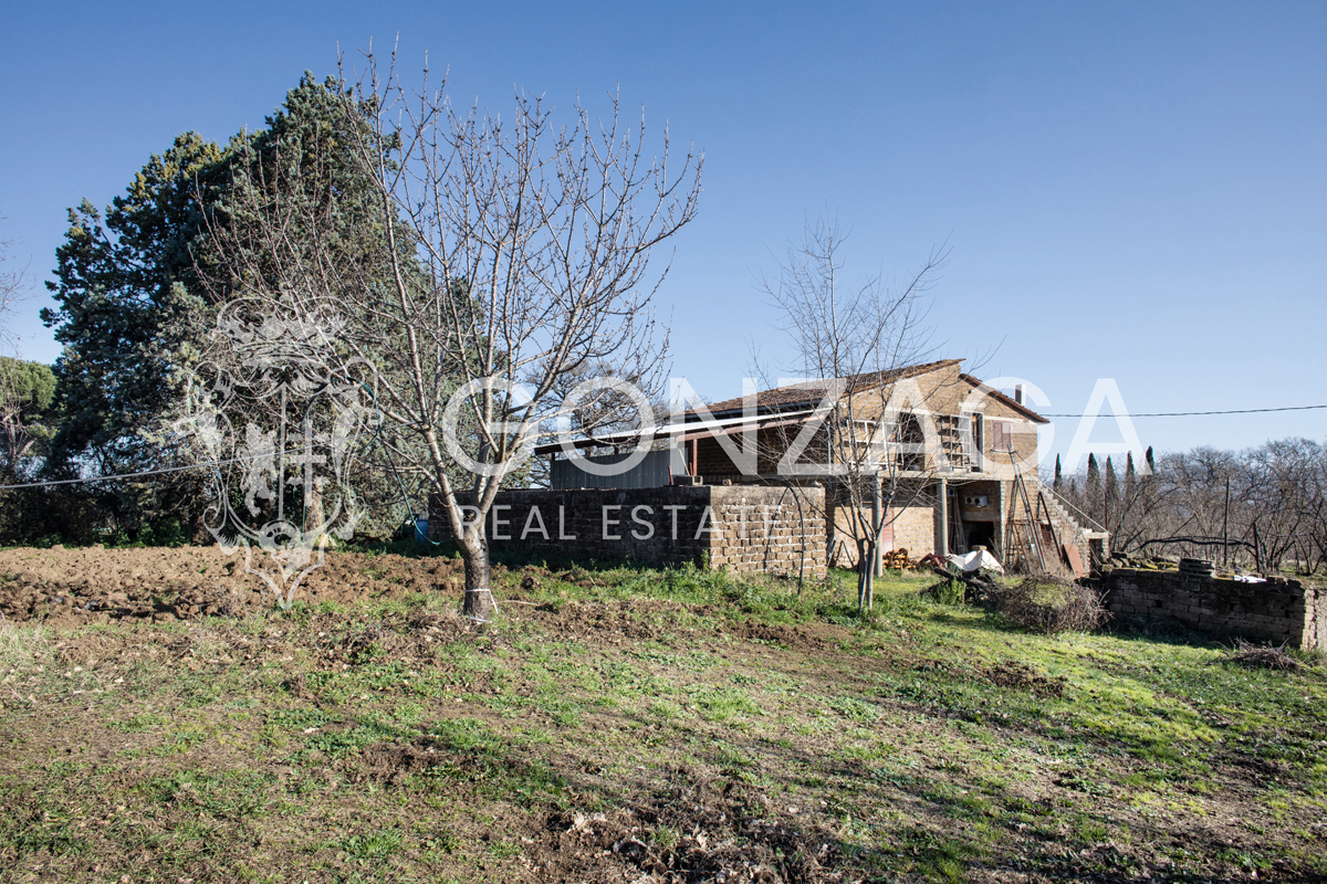 Casale Gallese con terreno