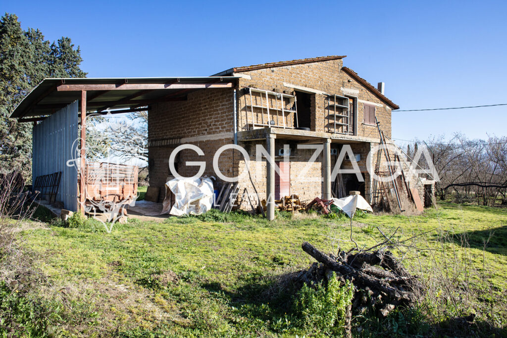 Gallese_Romeo_casale_terreno_03