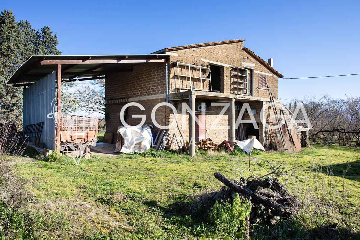 Casale Gallese con terreno