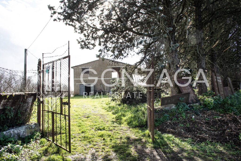 Gallese_Romeo_casale_terreno_05