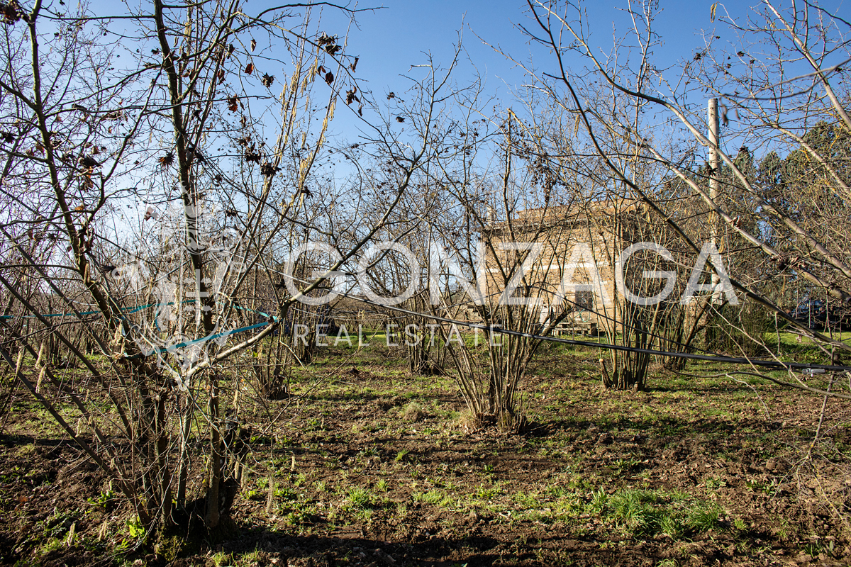 Casale Gallese con terreno