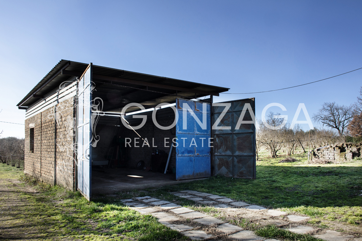 Casale Gallese con terreno