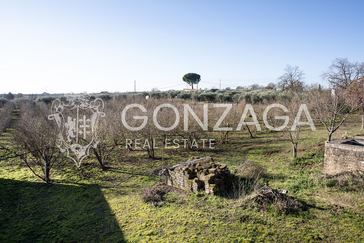 Casale Gallese con terreno