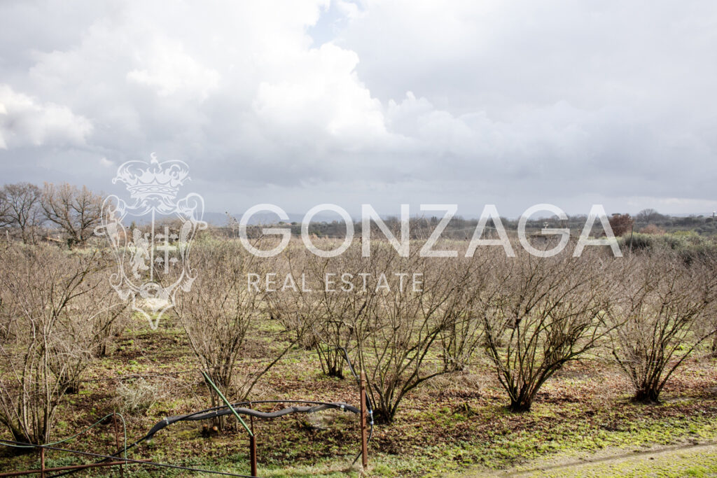 Gallese_Romeo_casale_terreno_11