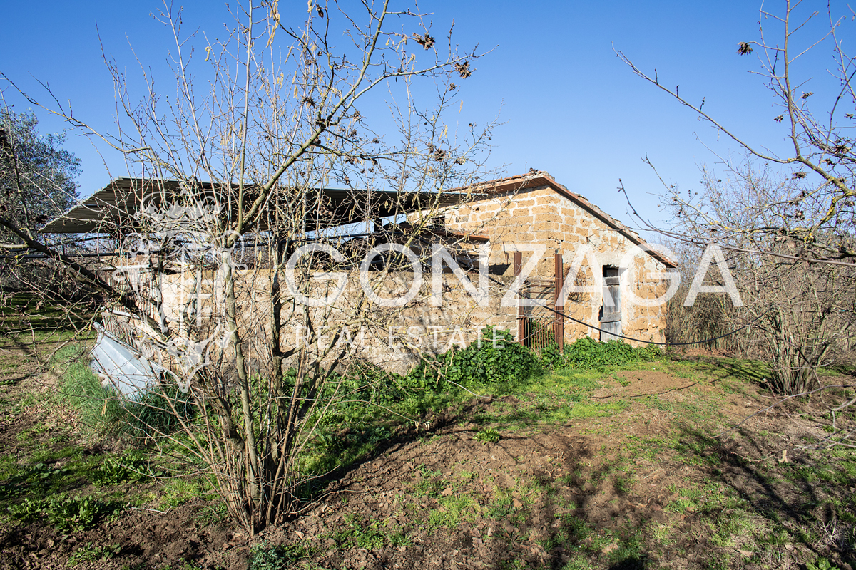 Casale Gallese con terreno