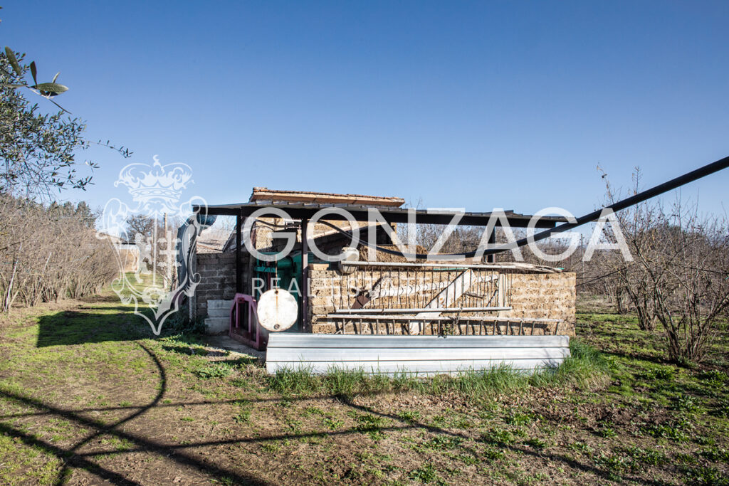 Gallese_Romeo_casale_terreno_14